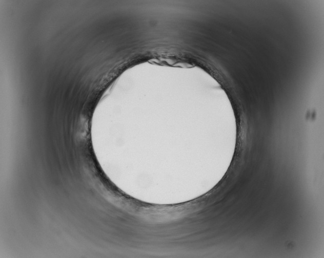 X0000114210025200911201033