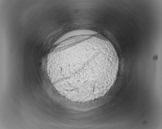 X0000114210026200911201033