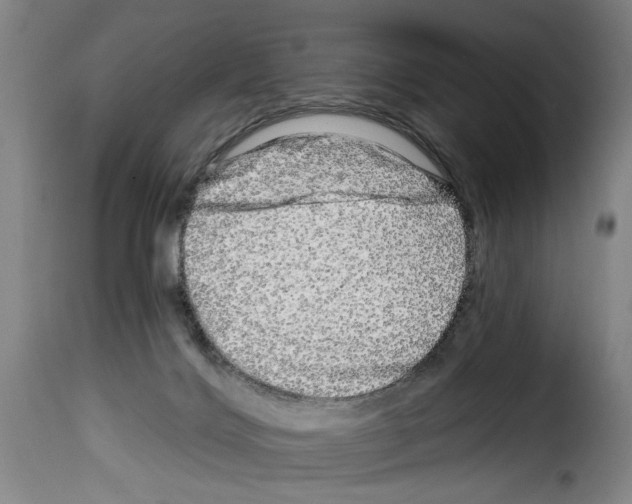 X0000114210028200911201032