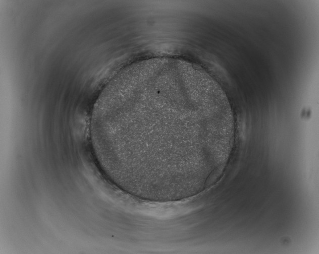 X0000114210029200911201032