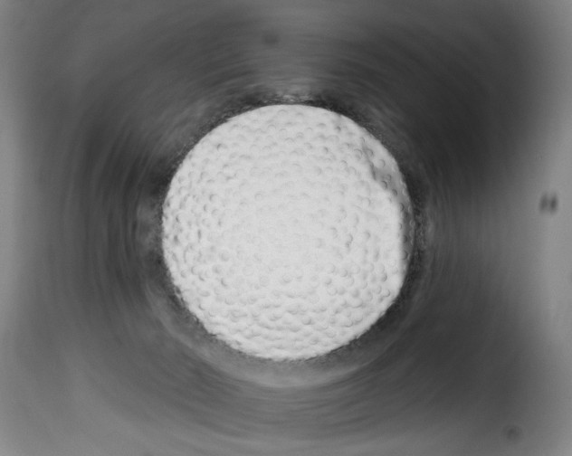 X0000114210030200911201032