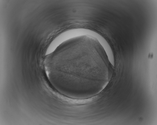 X0000114210031200911201032
