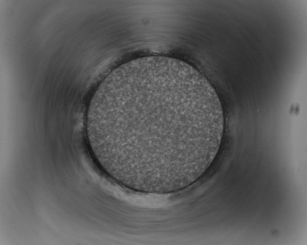 X0000114210032200911201032