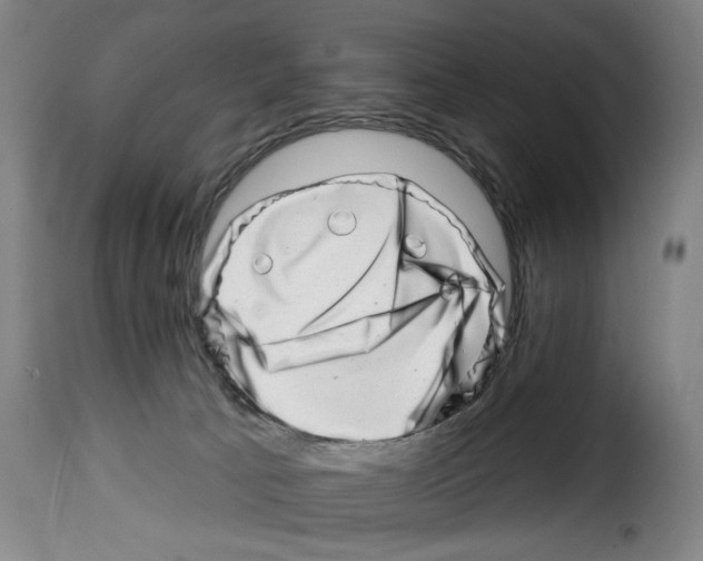 X0000114210033200911201032