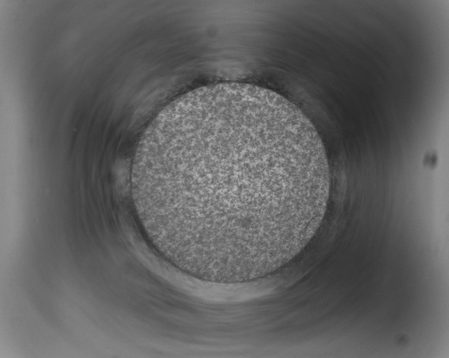 X0000114210034200911201032