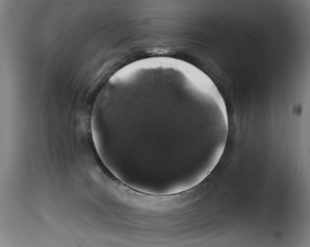 X0000114210035200911201032