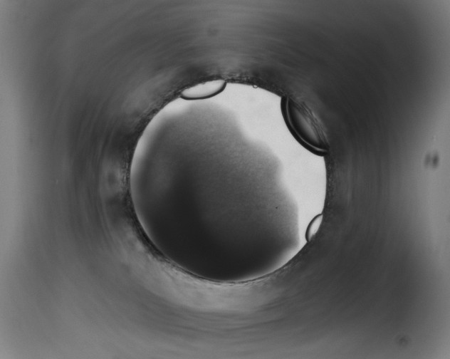 X0000114210039200911201032