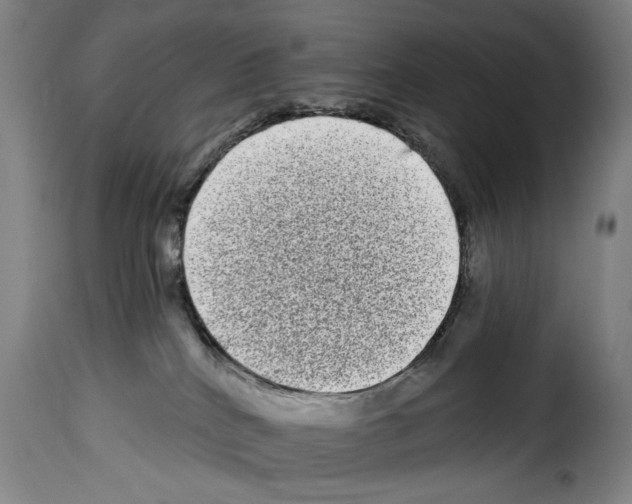 X0000114210040200911201032