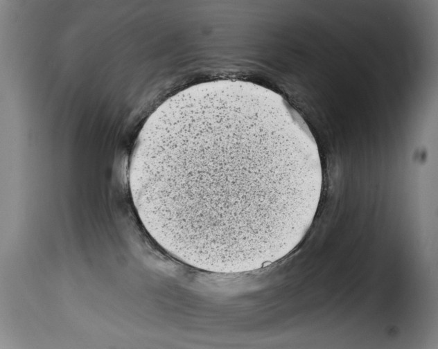 X0000114210041200911201032