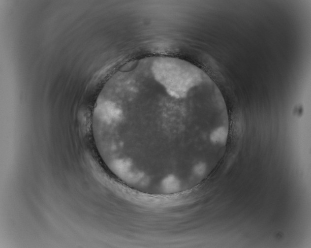 X0000114210043200911201032
