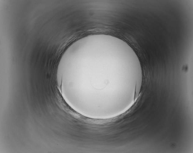 X0000114210045200911201032