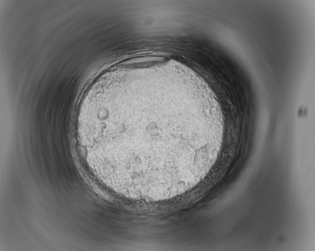 X0000114210049200911201032