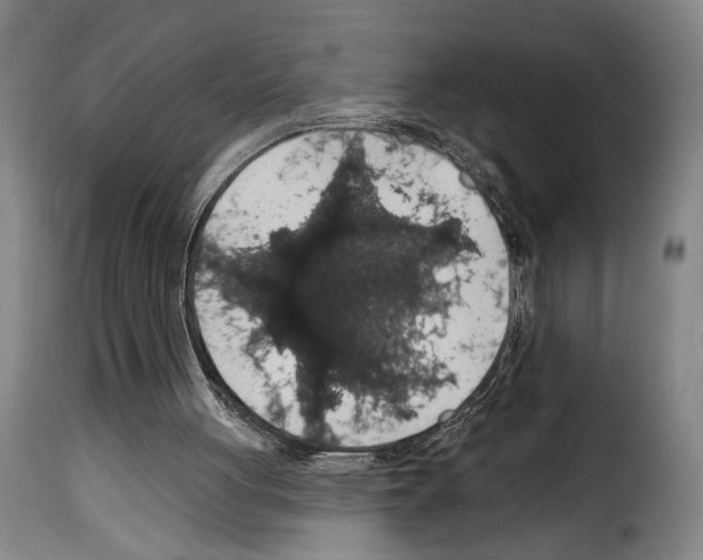 X0000114210051200911201032