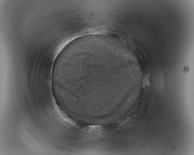 X0000114210052200911201032