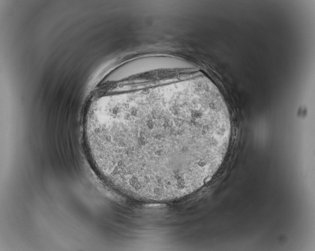 X0000114210053200911201032