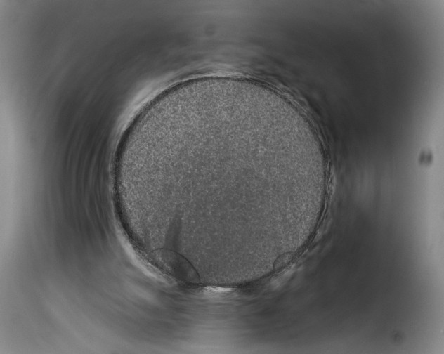 X0000114210055200911201032