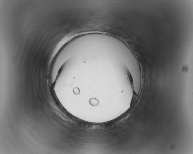 X0000114210056200911201032