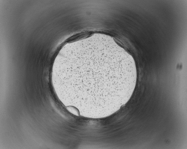X0000114210060200911201032