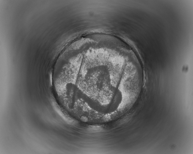 X0000114210061200911201032