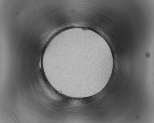 X0000114210062200911201032