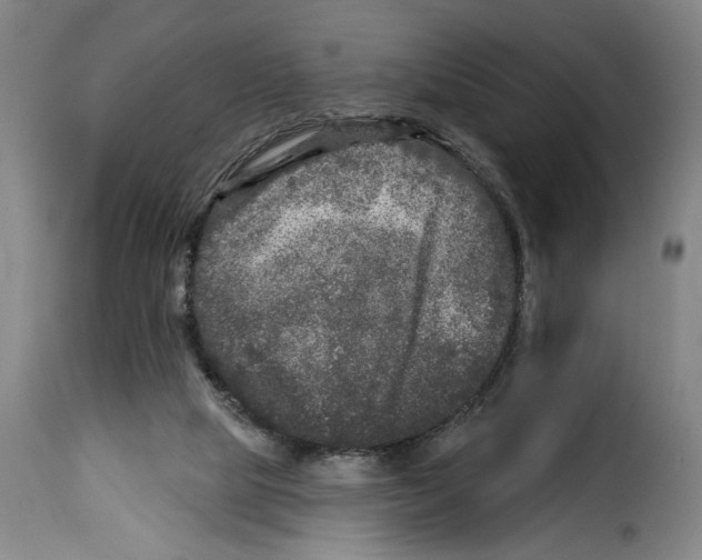 X0000114210065200911201032