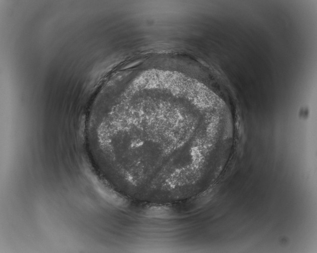 X0000114210066200911201032