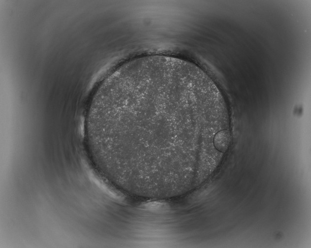 X0000114210067200911201032