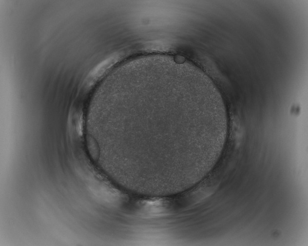 X0000114210068200911201032