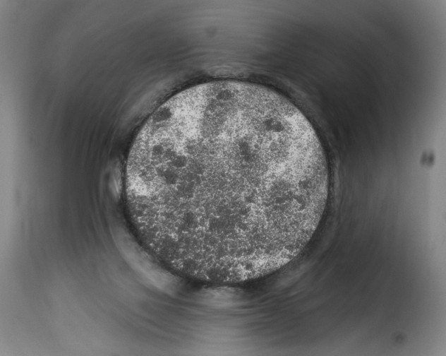 X0000114210069200911201032