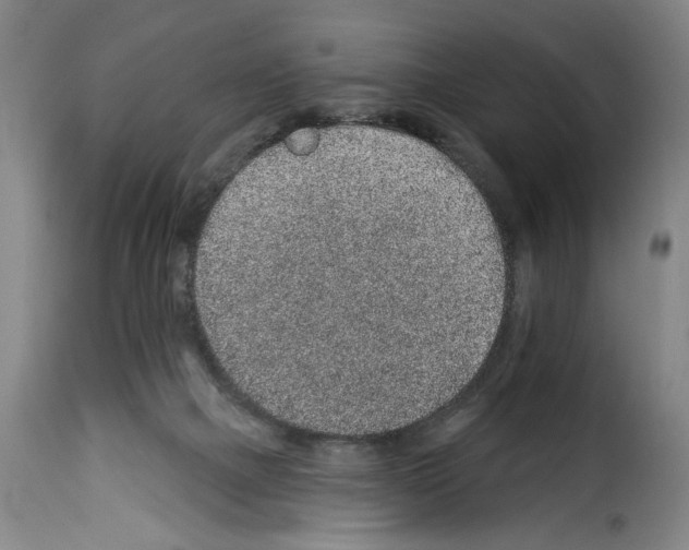 X0000114210073200911201032