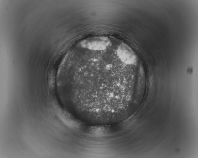 X0000114210074200911201032