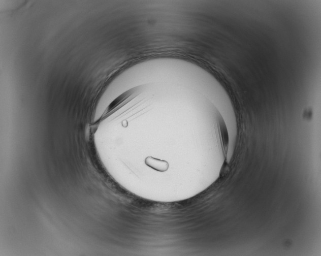 X0000114210076200911201032