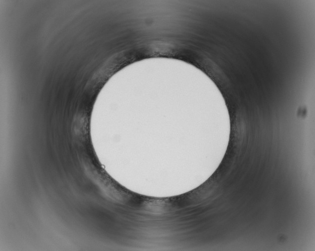 X0000114210079200911201032