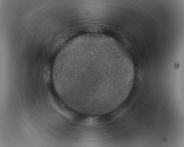 X0000114210080200911201032