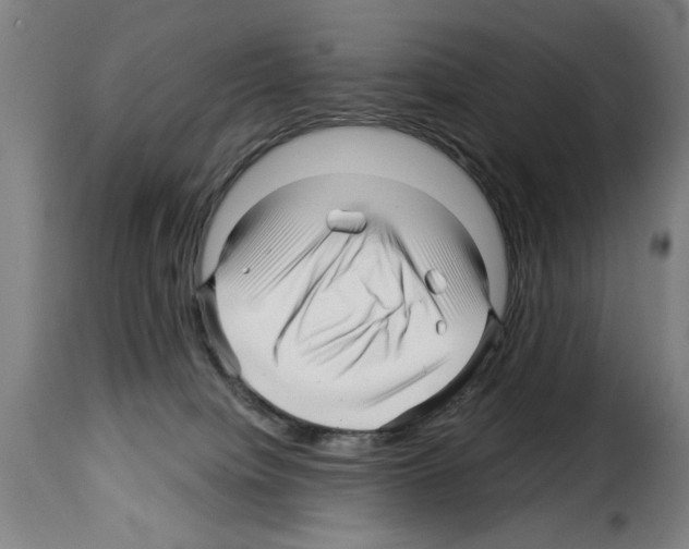 X0000114210084200911201032