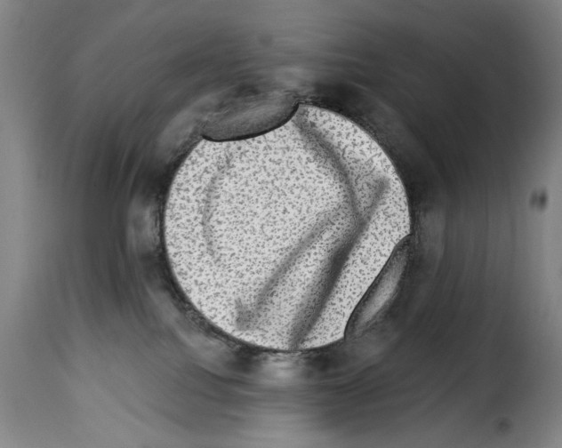 X0000114210088200911201032