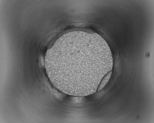X0000114210089200911201032