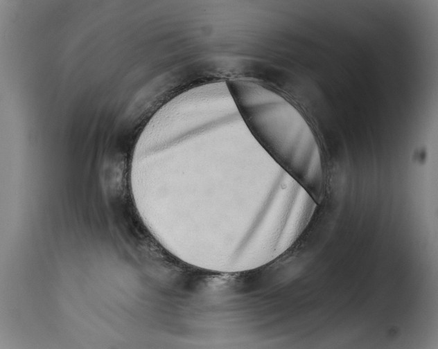 X0000114210092200911201032