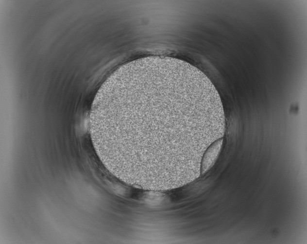X0000114210095200911201032