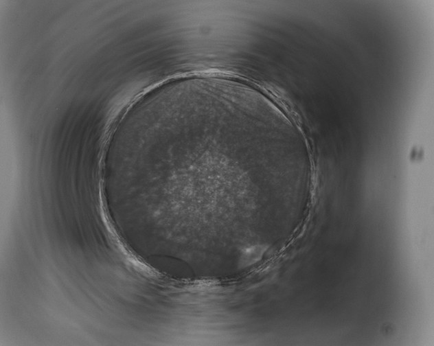 X0000114210097200911201032