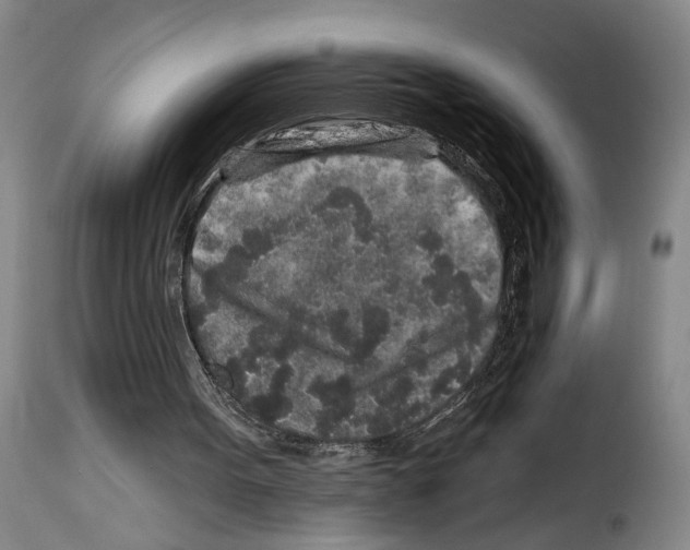 X0000114210099200911201032