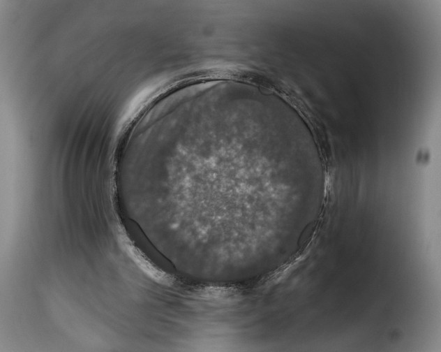 X0000114210101200911201031