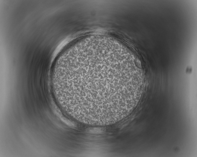 X0000114210102200911201031