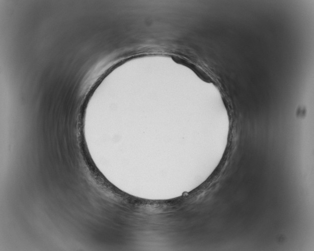 X0000114210103200911201031