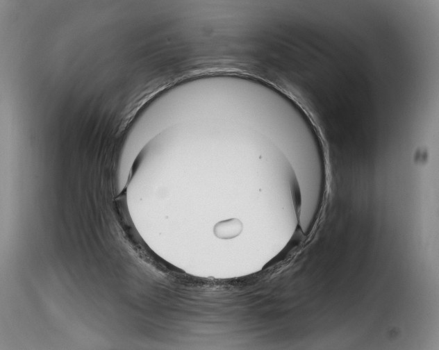 X0000114210105200911201031