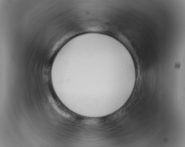 X0000114210106200911201031