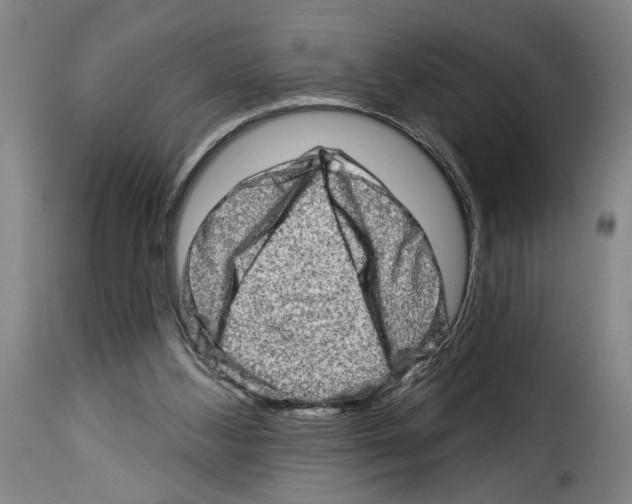 X0000114210108200911201031
