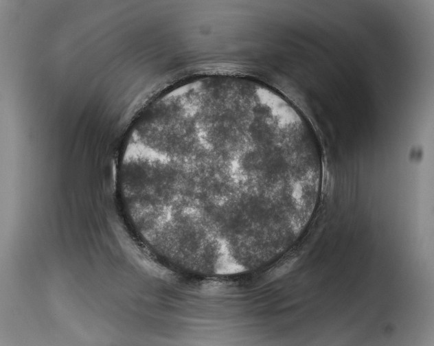 X0000114210109200911201031