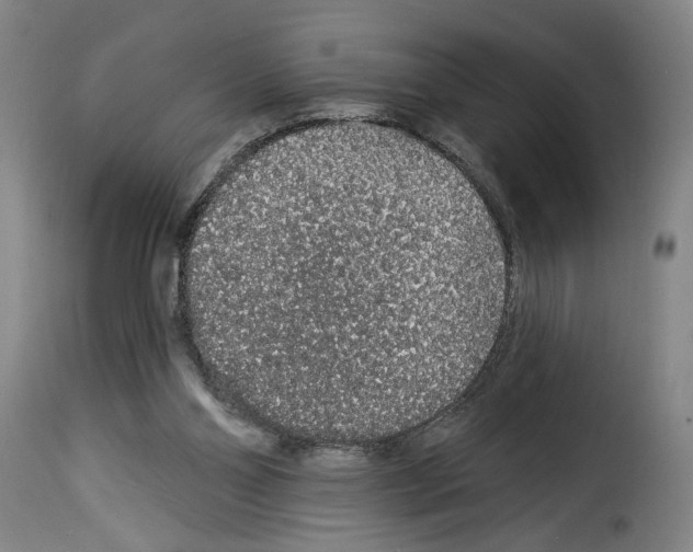 X0000114210110200911201031