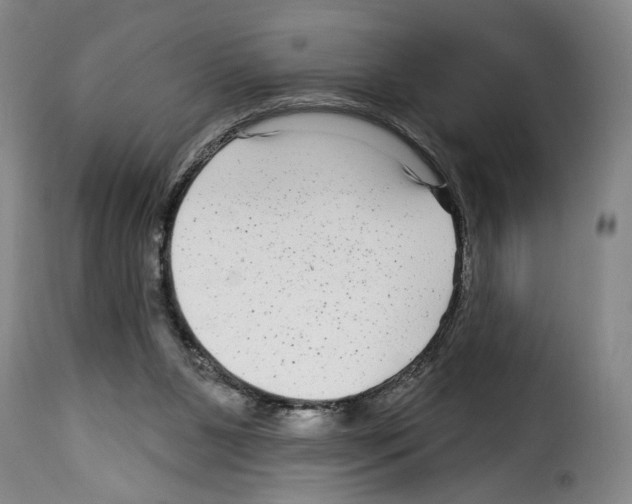 X0000114210111200911201031